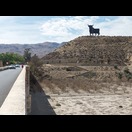 Noch ein Osborne-Stier